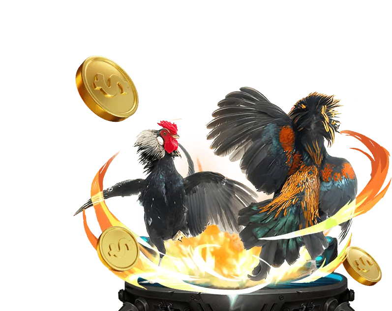 Giao diện nền tảng cá cược thể thao halo88 casino